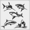 Set of shark silhouettes. Print design for t-shirts. Royalty Free Stock Photo