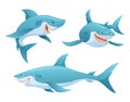 Set of shark in various poses