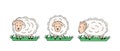 Set of sheep in different poses. Vector illustration of farm animals. Cartoon sheeps in a flat style Royalty Free Stock Photo