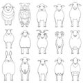 Set of sheep line art