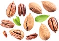 Set of shelled and cracked pecan nuts isolated on white background