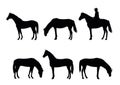 Set of shepherd grazes horses in pasture. Picture silhouette. Farm pets. Animals domestic traditional. Isolated on white