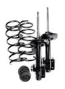 Set of shock absorbers