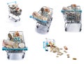 Set of shopping carts. Ideas about shopping, finance, buisness, online shopping, commercial activity, e-commerce, banking and