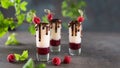 Set of shot cocktails with raspberry, vanilla liqour, vodka and chocolate edge. Side view. Fresh summer shots for party. Bar, Royalty Free Stock Photo