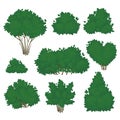 Set of shrubs with lush green foliage in various shapes isolated on a white background. Summer icon. Vector illustration