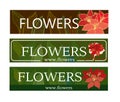 Set of signs for a flower shop. Green and brown backgrounds Royalty Free Stock Photo