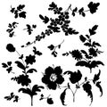 Set silhouette black flowers