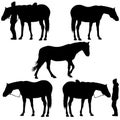 Set silhouette of black mustang horse vector illustration Royalty Free Stock Photo