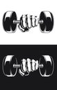 Silhouette Bodybuilder Fitness Hand Weight Dumbbells