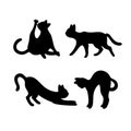 Set of silhouette of cats. Isolated black silhouette of running, sitting, washing, playing cat on white background Royalty Free Stock Photo
