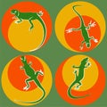 set of silhouette of green lizards with white outline on bright multicilired roun spots