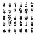 Set of silhouette house plants series.Potted Plants Collection.hand drawn,decor,tree,Vector illustrations.