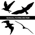 Set of silhouette seagull flying 4 in 1 on white background Royalty Free Stock Photo