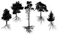 Set of silhouette trees with roots. Beautiful fir, pine, deciduous trees. Vector illustration Royalty Free Stock Photo