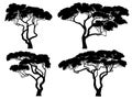 Set of silhouettes of African acacia trees. Royalty Free Stock Photo