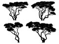 Set of silhouettes of African acacia trees.