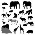 set of silhouettes of african animals (ostrich, giraffe, elephant, zebra, warthog, nyala, flamingo, pigmy hippo, gorilla Royalty Free Stock Photo