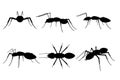 Set with silhouettes of ant in different positions isolated on white background. Vector illustration Royalty Free Stock Photo