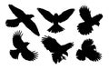 Set of silhouettes birds in flight.