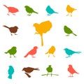 Set of silhouettes of birds. Royalty Free Stock Photo