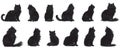 A set of silhouettes of black fluffy cats in various poses on a light background in isolation Royalty Free Stock Photo