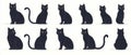 A set of silhouettes of black sleek cats in various poses on a light background in isolation Royalty Free Stock Photo
