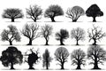 Set Silhouettes Of Black Tree Crowns On White Background, Halloween. Generative AI Royalty Free Stock Photo
