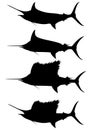 Set of silhouettes blue marlin and swordfish