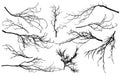 Set of silhouettes of branches of different trees chestnut, poplar, Linden, maple, oak, etc.. Vector illustration Royalty Free Stock Photo