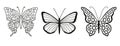 Set of silhouettes of butterflies isolated on white background in vector format.Separate objects for logo, design, illustration Royalty Free Stock Photo