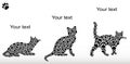 Set of silhouettes of cats from the cat tracks