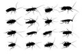 Set of silhouettes of cockroaches. Royalty Free Stock Photo