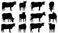 Set silhouettes of cows and bulls