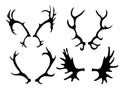 Set of silhouettes of deer and elk horns. Royalty Free Stock Photo