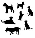 Set of silhouettes of different cute dog breeds isolated on white background Royalty Free Stock Photo