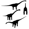 Set with silhouettes of a dinosaur in different positions isolated on a white background. Vector illustration Royalty Free Stock Photo