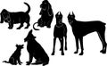 Set of silhouettes of dogs Royalty Free Stock Photo