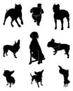 Set silhouettes dogs. Different breeds dogs in positions.