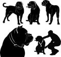 Set of silhouettes of dogs Dogue de Bordeaux