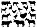 Set of silhouettes of domestic farm animals Royalty Free Stock Photo