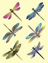 Set of silhouettes of dragonflies