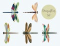 Set of silhouettes of dragonflies