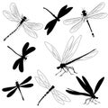 Set of silhouettes of dragonflies, tattoo