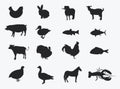 Set of silhouettes of farm animals. Collection of stylized meat animals and fish. Set of black farmer logos. Royalty Free Stock Photo