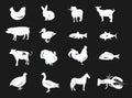 Set of silhouettes of farm animals. Collection of stylized meat animals and fish. Set of black farmer logos. Royalty Free Stock Photo