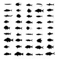 Set of silhouettes of fish