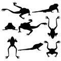 Set with silhouettes of frogs in different positions isolated on a white background. Vector illustration Royalty Free Stock Photo