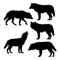 Silhouettes of gray wolves
