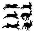 The set silhouettes of hares. Royalty Free Stock Photo